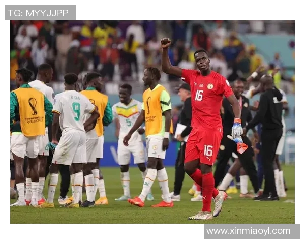 塞内加尔足球队的超级球星们如何在国际赛场上书写传奇故事 塞内加尔足球队的超级球星们如何在国际赛场上书写传奇故事