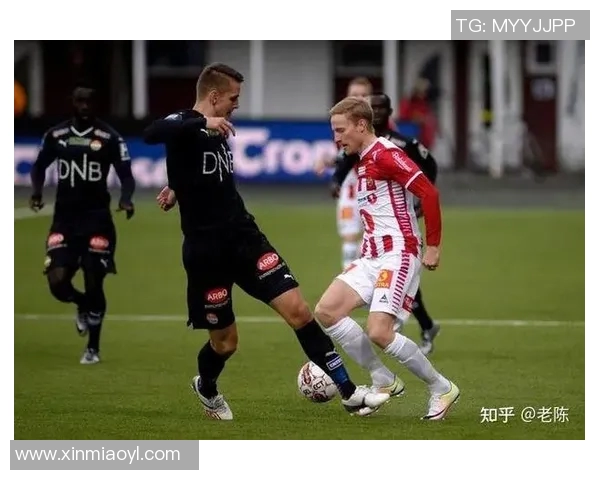 球星贴纸与足球文化的完美结合揭示足球迷独特收藏魅力