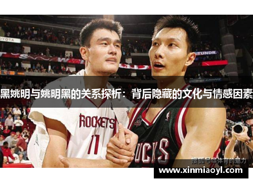 黑姚明与姚明黑的关系探析：背后隐藏的文化与情感因素