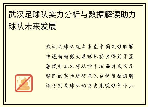 武汉足球队实力分析与数据解读助力球队未来发展