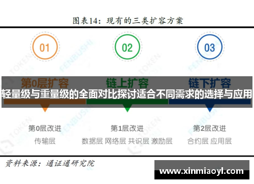 轻量级与重量级的全面对比探讨适合不同需求的选择与应用